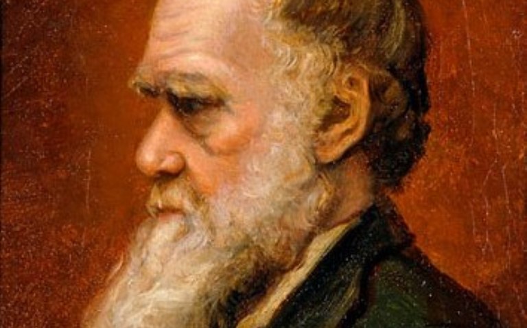 Charles Darwin en evolutie